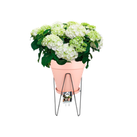 loft urban rahmen 30cm living schwarz